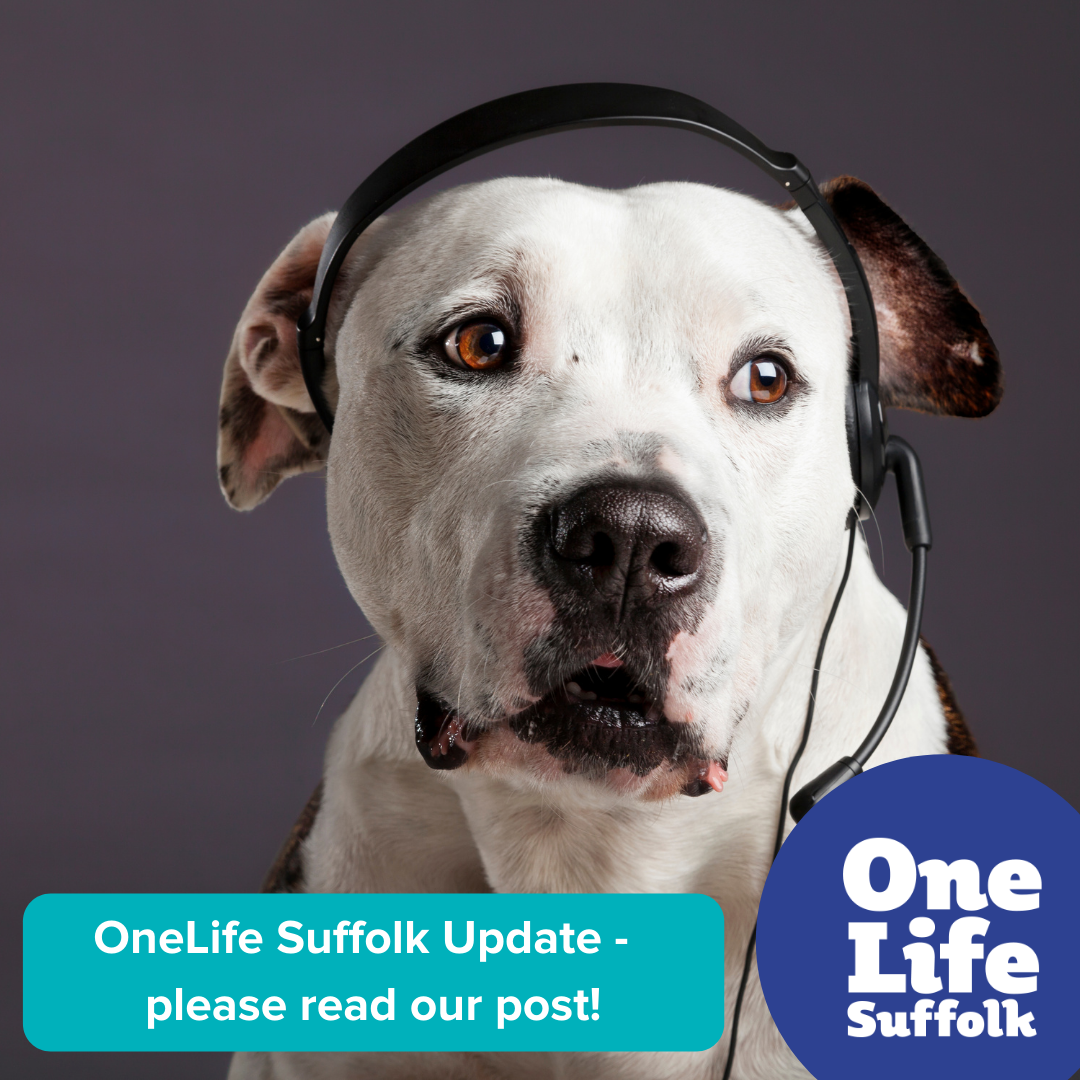 OneLife Suffolk Update 03 08 2021 OneLife Suffolk